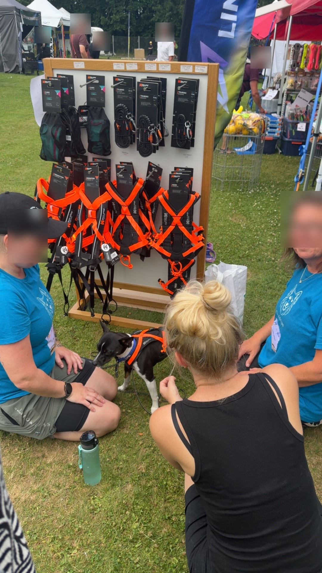 Lineups messestand med udstyr, kunder der prøver en sele på hunden